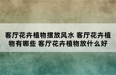 客厅花卉植物摆放风水 客厅花卉植物有哪些 客厅花卉植物放什么好